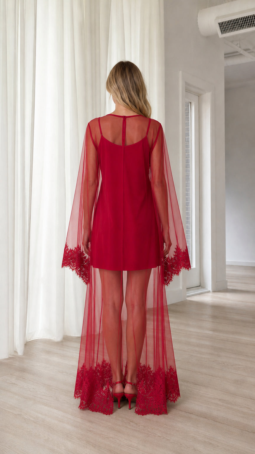 Back view of red sheer mesh overlay mini dress